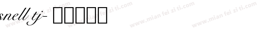 snell tj字体转换